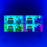 BÁNH QUẾ COSY – Gói 117G