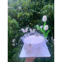 bánh sinh Nhật giả đạo cụ chụp ảnh