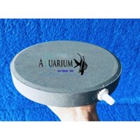 Bánh sủi oxi 20cm siêu bền