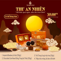 Bánh Trung Thu 2024 – Thu An Nhiên (bánh chay hộp 2 bánh 1 trà)