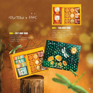 Bánh trung thu Đại Phát Lễ hộp cao cấp 603