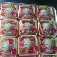 Bánh trung thu dẻo nhân chay 10 cái