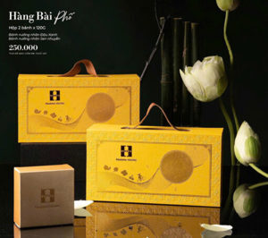 Bánh trung thu Madam Hương - Hàng Bài Phố (hộp 2 bánh x 120gr)
