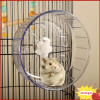 Bánh xe chạy bộ Gigicloud Hamster cho lồng, Bánh xe chạy bộ tập thể dục Hamster im lặng 6,7 inch, Bánh xe chạy trong suốt, Máy quay yên tĩnh có thể điều chỉnh cho chuột lang