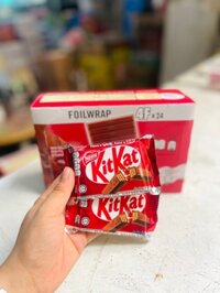 Bánh xốp socola Kitkat 4F/12h*24