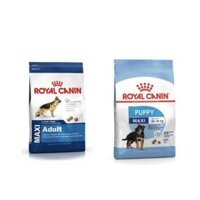 Bao 10kg Hạt Royal Canin Maxi Puppy và Maxi Adult Cho Chó Con Giống Lớn