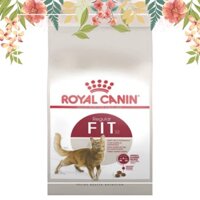 BAO 10KG THỨC ĂN CHO MÈO ROYAL CANIN FIT 32