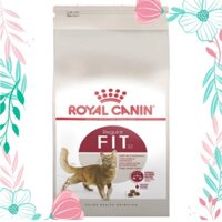 BAO 10KG THỨC ĂN CHO MÈO ROYAL CANIN FIT 32