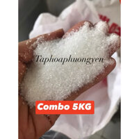 Bao 5KG đường cát trắng hạt nhỏ