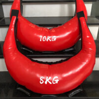 Bao cát hình cá heo Bulgaria hiệu KR kèm hình thật 003