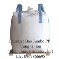 Bao cẩu nhựa PP 1000kg miệng buộc, đáy xả loại tốt