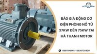Báo giá động cơ điện phòng nổ từ 37kW đến 75kW tại Hà Thanh Motor