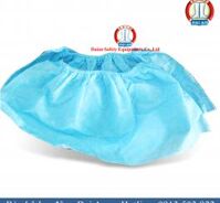 Bao giầy giấy VN