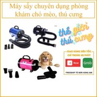 Bảo hành 6 tháng 1 đổi 1) (3 loại) Máy sấy chuyên dụng phòng khám chó mèo, thú cưng (BS2400, BF601, Mode168)