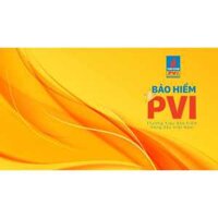 BẢO HIỂM Ô TÔ BẮT BUỘC PVI - GIÁ RẺ NHẤT MIỀN NAM + TĂNG BÌNH CHỮA CHÁY MINI KHI MUA 2 NĂM