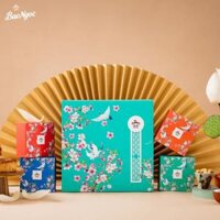 Bảo Ngọc 2025 – Vy Nguyệt Bình An