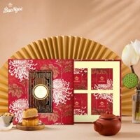 Bảo Ngọc 2025 – Vy Nguyệt Cát Tường