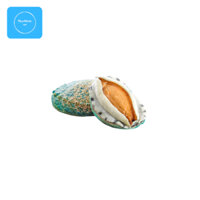 Bào ngư Úc viền xanh 1kg