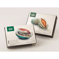 Bào ngư úc viền xanh cao cấp ngon bổ dưỡng