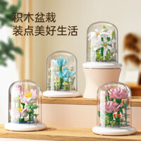 Bảo Quản Hoa Giáo Dục Hội Để Bàn Đồ Chơi Chậu Cây Mẫu Đồ Trang Trí Sinh Nhật Bé Gái Ngày Lễ Tình Nhân