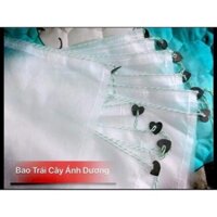 Bao trái cây
