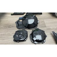 Bảo vệ lốc máy Carbon cho kawasaki Zx10r 2016 đến 2020