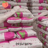 Bao Vỏ Thông Orchiata Nhập Khẩu New Zealand 35L - Giá Thể Trồng Lan Cao Cấp - Đủ Mọi Size Kích Thước