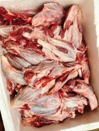 bắp bò hoa