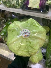 Bắp cải hướng hữu cơ theo tiêu chuẩn PGS Genki Farm