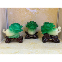 bắp cải phong thủy