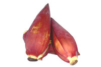 Bắp Hoa chuối hôm nay giá bao nhiêu? Mua ở đâu uy tín