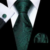 Barry.wang Hoa Nam Cà Vạt Bộ Khăn Tay Dây Dạ Nỉ Cà Vạt Màu Tím Bạc Xanh Đỏ Cho Đám Cưới Quà Tặng Doanh Nghiệp