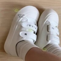 Bashamm gấu ngủ đông Velcro văn hóa Phụ Nữ Nhà dễ thương giản dị Giày vải đế dày dễ phối giày thể thao nữ giá trị cao đáng yêu