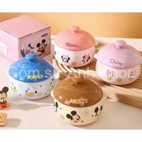 Bát Ăn cơm, Bát chè Đĩa sứ chén dĩa sứ Decor cao cấp Âu có nắp, Tô sứ hoạt hình Disney 300ml nhất cute gomsudeco21