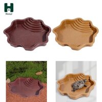 Bát nước rùa Bể tắm bò sát cho rồng râu Ếch tắc kè