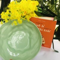 Bát ô tô gốm sứ méo bát tràng màu trơn chén bát đĩa đồ dùng nhà bếp đựng canh cho gia đình 23cm sieuthianhthu