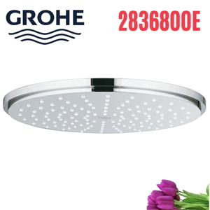 Bát sen gắn trần nóng lạnh Grohe 2836800E