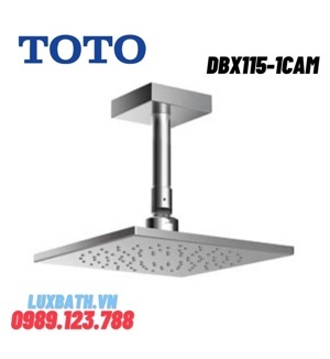 Bát sen TOTO DBX115-1CAM