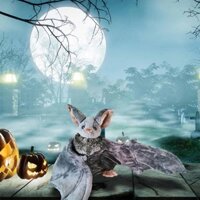 Bat Stuffed Doll Toys Bat With Huge Open Wings Plush Toys For Children Kids Toy