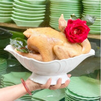 Bát Thuyền Nhựa Giả Sứ đựng Gà Cúng, Lễ Bày Hoa Quả Có Hộp – Su