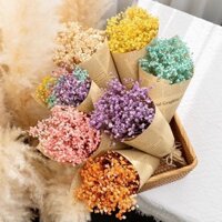 Bất Tử Gypsophila Hoa Khô Bó Hoa ins Influencer Sinh Nhật Hoa Hồng Bạn Gái Bạn Gái Quà Tặng Sinh Nhật Trang Trí Nhà Cửa20250308