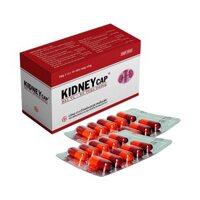 Bát  vị - Bổ thận dương KIDNEYCAP®