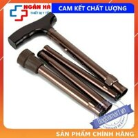 Batoong, gậy chống 4 khúc gấp gọn