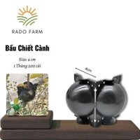 Bầu Chiết Cành 4 cm (1 Thùng 200 cái) Tái sử dụng nhiều lần, tiết kiệm chi phí - Rado Farm