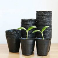 Bầu nhựa ươm cây BHS10x10, Chậu nhựa trồng và ươm cây giống Bầu Hoa Sen