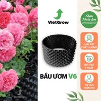 Bầu ươm thông minh V6 dày 0,6 ly khổ 70cm chất liệu nhựa PVC chắc chắn cuộn dài 10 mét