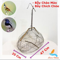 Bẫy chào mào inox, bẫy khuyên inox, lụp chào mào, lụp khuyên inox chất liệu inox đủ mẫu