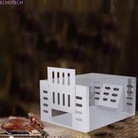 Bẫy chuột chu kỳ liên tục ECHOTECH, Bẫy chuột tự động không gian lớn, Lồng bẫy chuột không độc hại bằng kim loại hiệu quả cao Hộ gia đình