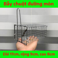 Bẫy Chuột Đường Mòn Có Khoen Chống Sẩy Kích Thước 17x9x8 - 10 cái