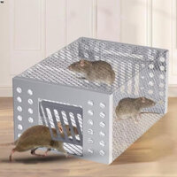 Bẫy Chuột, Lồng Bắt Chuột Kim Loại Cao Cấp Cỡ Lớn